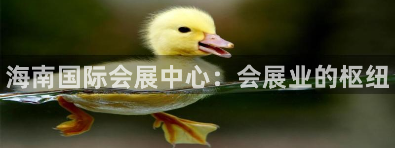 苹果电脑怎么下载伯索：海南国际会展中心：会展业的枢纽