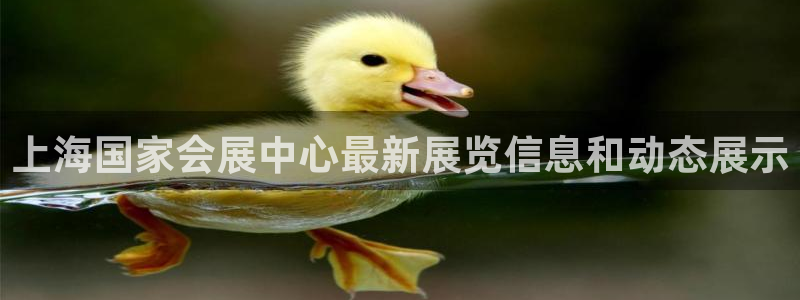 果博环保公司：上海国家会展中心最新展览信息和动态展示