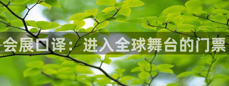果博账号注册：会展口译：进入全球舞台的门票