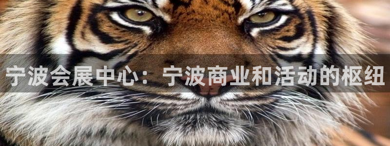 果博上分电话：宁波会展中心：宁波商业和活动的枢纽