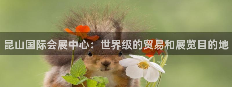 果博注册充值怎么退款：昆山国际会展中心：世界级的贸易和展览目的地