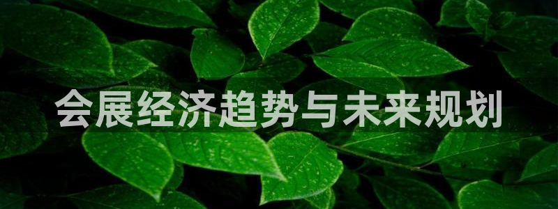果博平台开户电话号码：会展经济趋势与未来规划