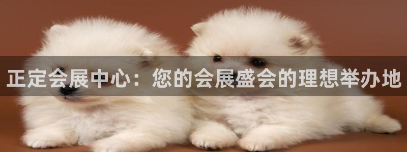 果博平台真实吗知乎推荐：正定会展中心：您的会展盛会的理想举办地