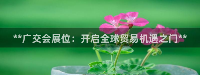 果博公司注册：**广交会展位：开启全球贸易机遇之门**