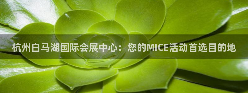 果博注册客服电话是多少号码：杭州白马湖国际会展中心：您的MICE活动首选目的地