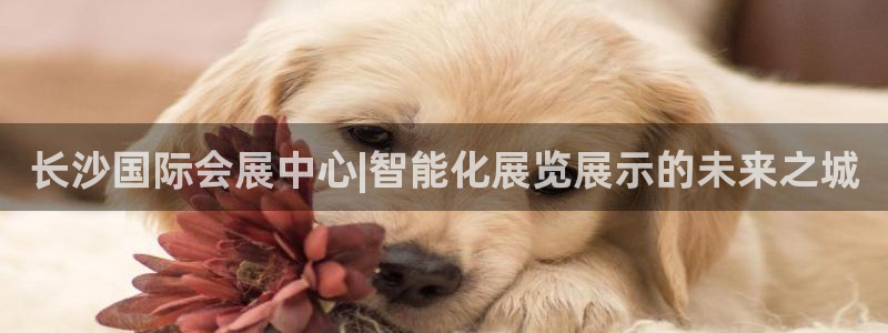 果博平台真实吗：长沙国际会展中心|智能化展览展示的未来之城