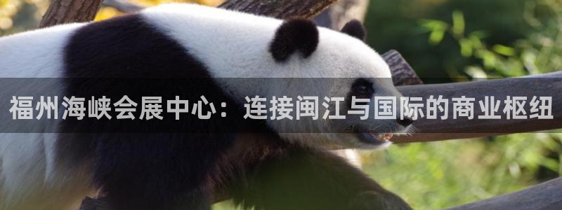 果博公司网站：福州海峡会展中心：连接闽江与国际的商业枢纽