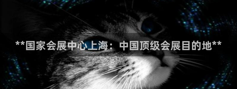 果博平台真实吗安全吗可信吗可靠吗：**国家会展中心上海：中国顶级会展目的地**