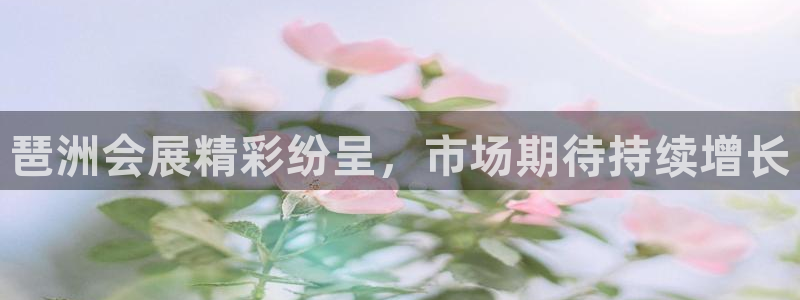 果博公司游戏网址：琶洲会展精彩纷呈，市场期待持续增长