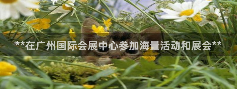 苹果手机能下载果博吗：**在广州国际会展中心参加海量活动和展会**