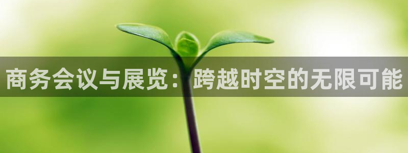 果博公司会员账号开户：商务会议与展览：跨越时空的无限可能