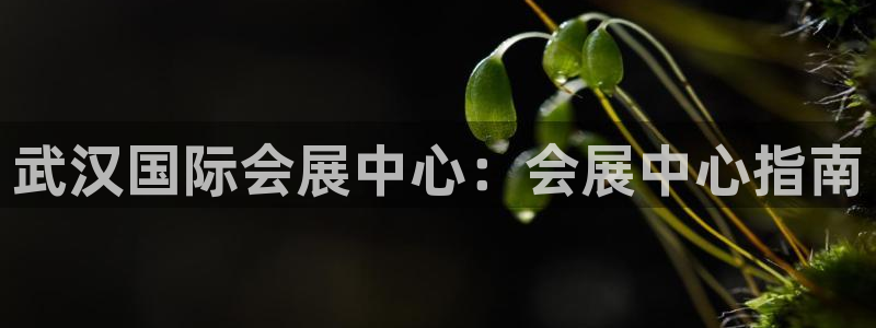 果博公司客服：武汉国际会展中心：会展中心指南