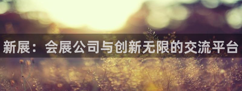 果博东官方网站怎么下载：新展：会展公司与创新无限的交流平台