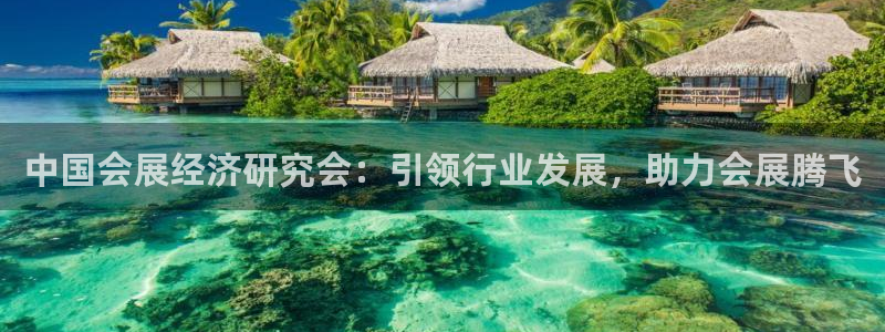 果博注册充值怎么充：中国会展经济研究会：引领行业发展，助力会展腾飞