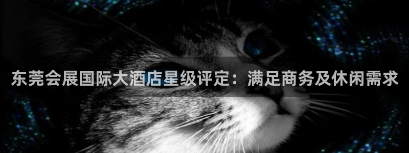 果博注册客服电话号码是多少：东莞会展国际大酒店星级评定：满足商务及休闲需求