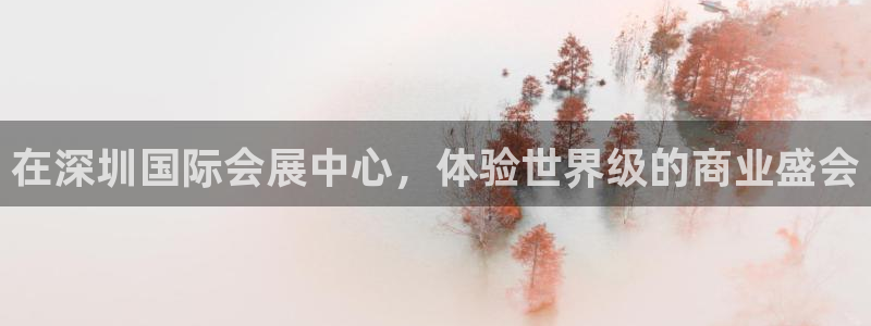果博官方：在深圳国际会展中心，体验世界级