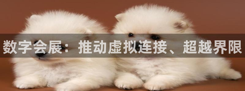 果博平台真实吗知乎推荐：数字会展：推动虚