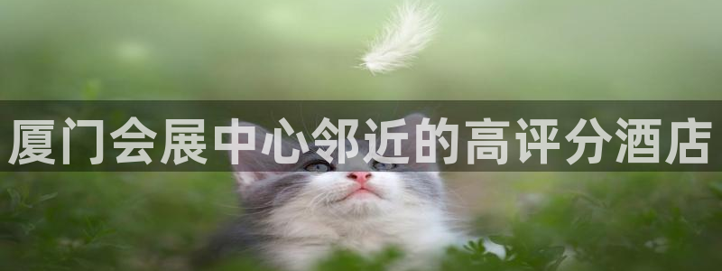 果博公司客服：厦门会展中心邻近的高评分酒店