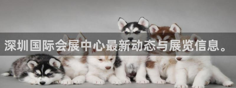 果博公司游戏网址：深圳国际会展中心最新动态与展览信息。