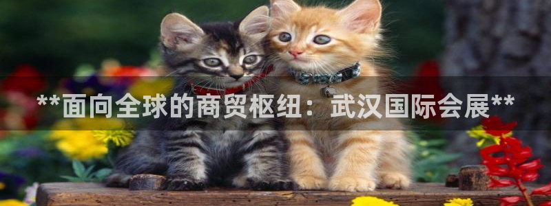 果博东官方网站怎么下载：**面向全球的商贸枢纽：武汉国际会展**