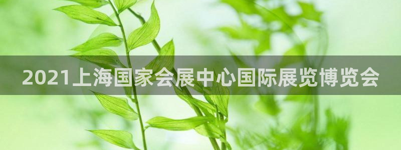 果搏代理：2021上海国家会展中心国际展