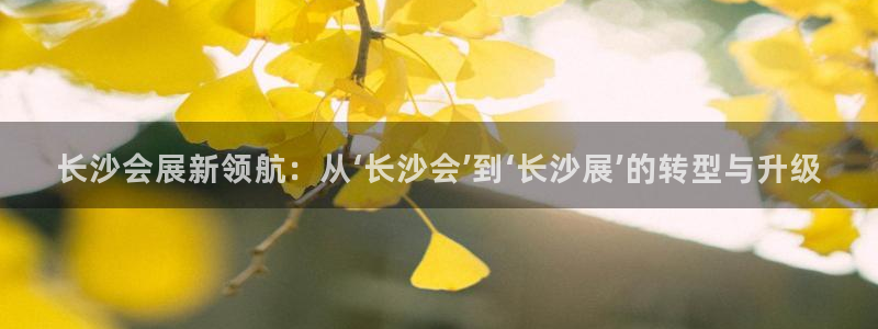 果博官方网：长沙会展新领航：从‘长沙会’到‘长沙展’的转型与升级