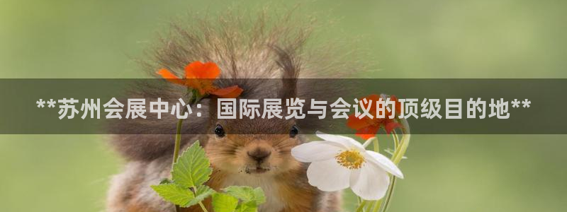果博客服电话哪里找：**苏州会展中心：国际展览与会议的顶级目的地**