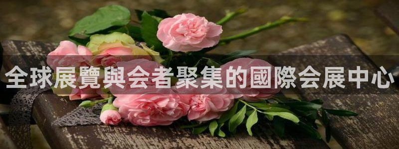 果博注册会员多少钱：全球展覽與会者聚集的國際会展中心