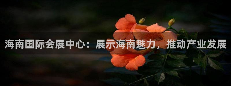 果博注册平台怎么注册的：海南国际会展中心：展示海南魅力，推动产业发展