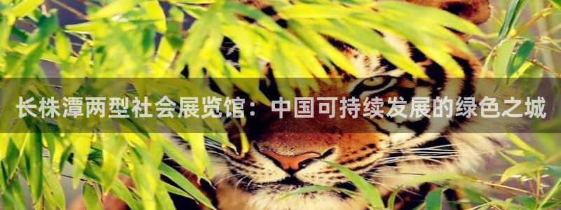 果博公司客服微信怎么加：长株潭两型社会展览馆：中国可持续发展的绿色之城
