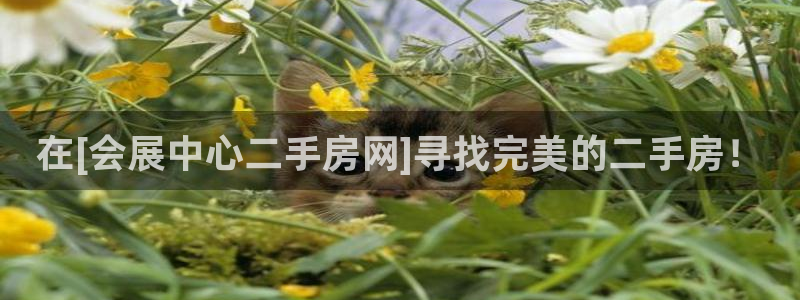 下载果博博东方下载：在[会展中心二手房网]寻找完美的二手房！