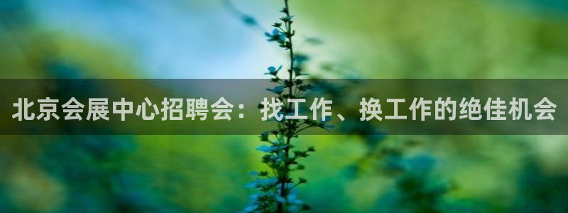 下载果博博东方：北京会展中心招聘会：找工作、换工作的绝佳机会