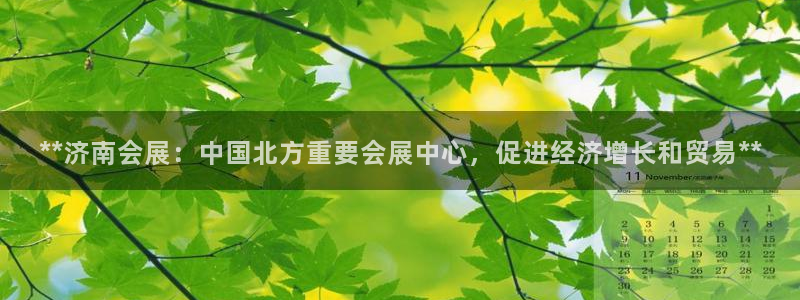 果博官网在银博