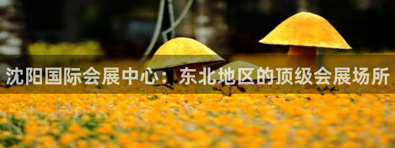 果博注册客服电话是多少：沈阳国际会展中心：东北地区的顶级会展场所