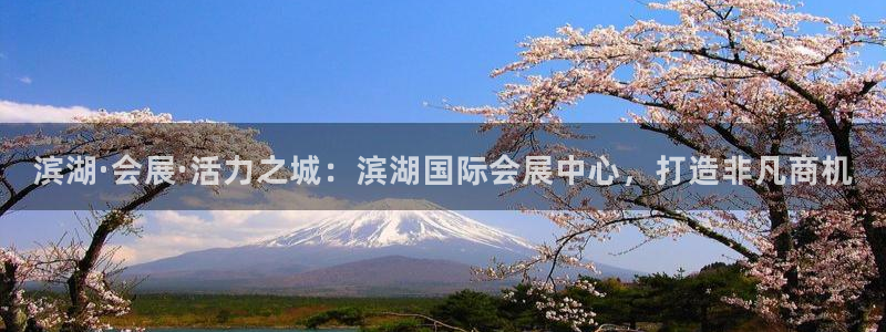 果博注册客服电话是多少号：滨湖·会展·活力之城：滨湖国际会展中心，打造非凡商机
