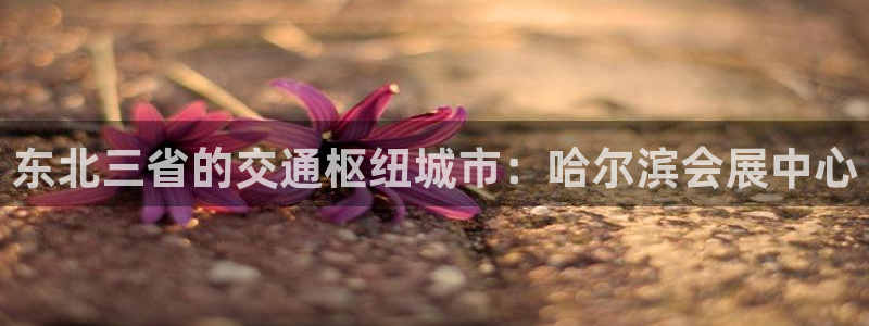 果博上分电话：东北三省的交通枢纽城市：哈尔滨会展中心