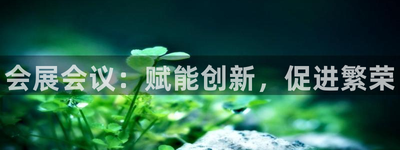 果博手机版官方下载：会展会议：赋能创新，促进繁荣