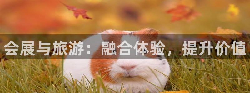 果博平台链接：会展与旅游：融合体验，提升价值