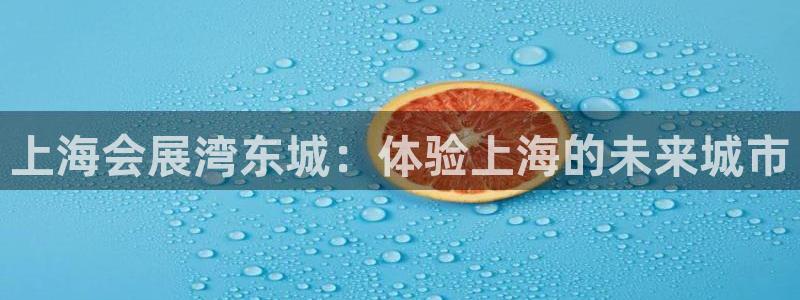 果博公司会员怎么开户：上海会展湾东城：体验上海的未来城市