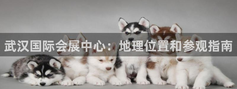 果博上分电话：武汉国际会展中心：地理位置和参观指南