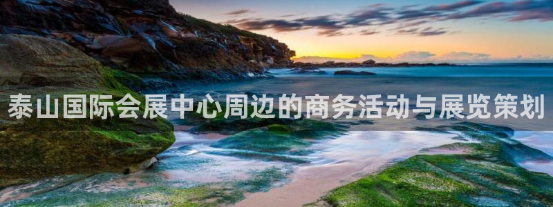 果搏东方客服：泰山国际会展中心周边的商务活动与展览策划