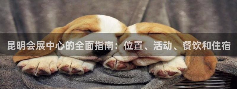 果博公司开户注册：昆明会展中心的全面指南：位置、活动、餐饮和住宿
