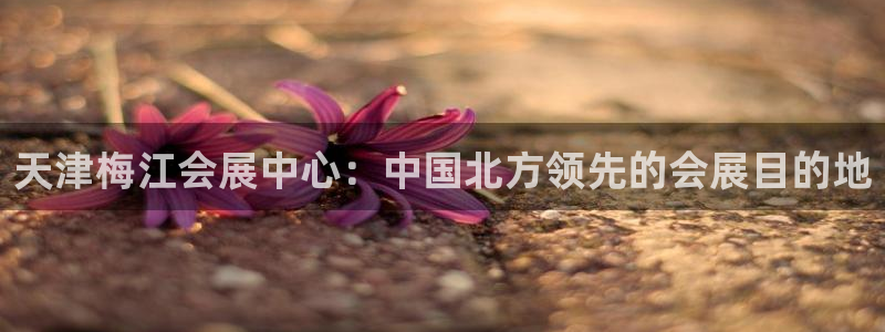 果博公司开户：天津梅江会展中心：中国北方领先的会展目的地