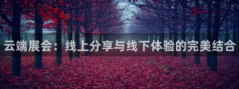 电脑怎么下载果考网：云端展会：线上分享与线下体验的完美结合