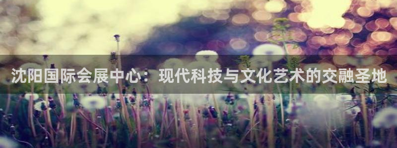 果博公司注册：沈阳国际会展中心：现代科技与文化艺术的交融圣地