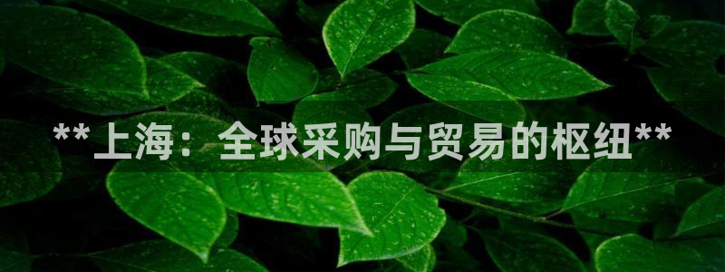 果博注册会员维wckk389：**上海：全球采购与贸易的枢纽**