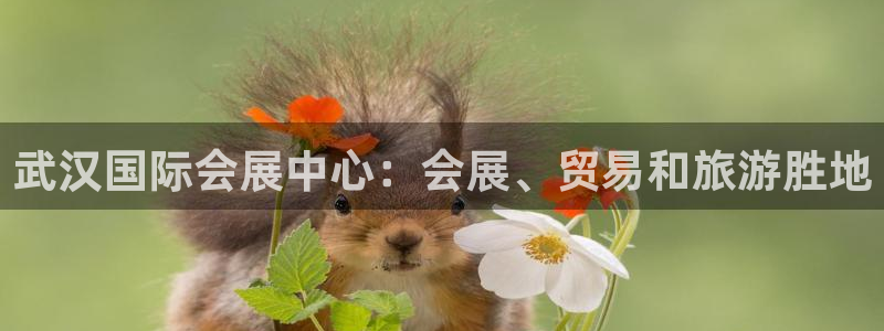 果博环保公司：武汉国际会展中心：会展、贸易和旅游胜地