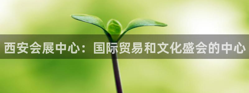 果博公司开户：西安会展中心：国际贸易和文化盛会的中心