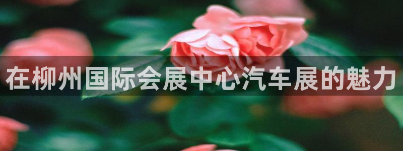 果博东官方网站怎么下载：在柳州国际会展中心汽车展的魅力