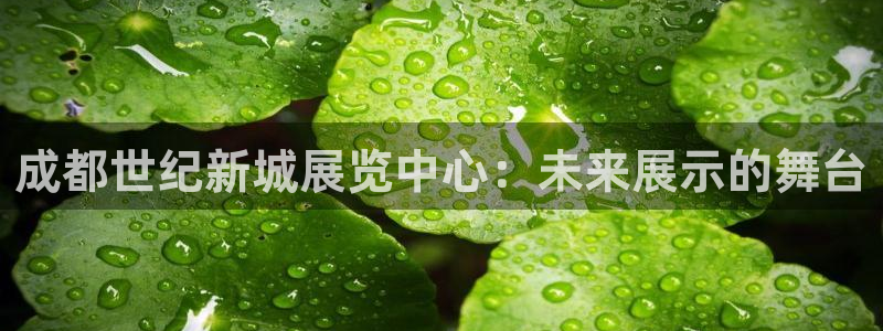 果博注册账号链接：成都世纪新城展览中心：